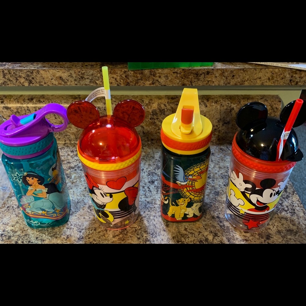 NWT Disney Set of 4 Tumblers